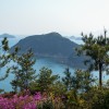 島の風景~家島諸島・坊勢島(展望台から見える風景)~