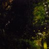 島の風景~家島本島・宮地区(夜の風景)闇に舞うヒメボタル