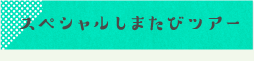 スペシャルしまたびツアー