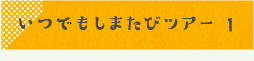 いつでもしまたびツアー1